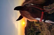 Horseback Riding Beach & Jungle