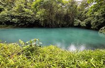 Rio Celeste Waterfall Plus Sloths and wildlife Sanctuary
