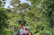 Rio Celeste Waterfall Plus Sloths and wildlife Sanctuary
