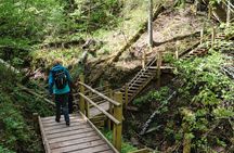 Private Full-Day Hiking Tour in Sigulda and Gauja National Park