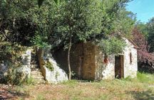 A walk on Monte Pisano