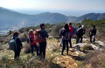 A walk on Monte Pisano