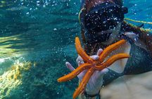 Milos: Half-Day Speedboat Cruise to Kleftiko with snorkeling tour