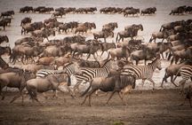 4 Days Tsavo West, Amboseli and Tsavo East National Park Safari