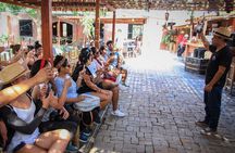 Full Day in Paracas, Ica and Huacachina with Yacht Tour