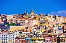Cagliari city tour and flamingo park by minivan and on foot