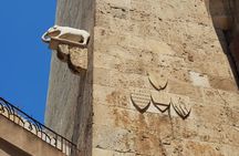 Cagliari city tour and flamingo park by minivan and on foot