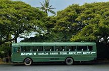 Kualoa Ranch: Movie Sites and Ranch Tour