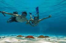 El Cielo the Breathtaking Snorkel Tour of Cozumel Cielito Beach & Lunch Included