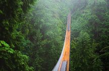1 day Vancouver City Tour Include Granville Island (Chn&Eng)