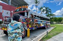 The 3 Panama's in 8 hrs, Private tour