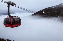 1 day Whistler Tour from Vancouver Experience (chn&eng)