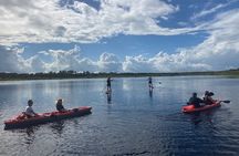 New Smyrna Dolphin and Manatee Kayak and SUP Adventure Tour