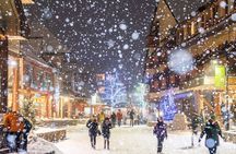 1 day Whistler Tour from Vancouver Experience (chn&eng)