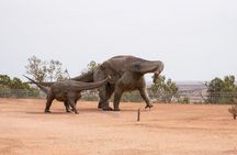 Winton Discovery Day Tour