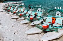 Backwater Adventure's CraigCat Tours of the 10,000 Islands