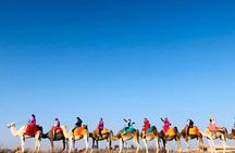 Three Valleys and Atlas Mountain & Waterfalls Tour from Marrakesh