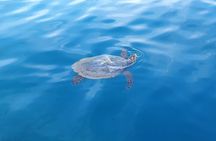 Moorea Lagoon Tour with Lunch
