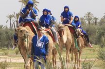 Camel Ride at Sunset in The Palm Grove of Marrakech