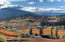 Summerland Full Day Lunch Wine Tour (Incl. Tasting Fees & Grat!)