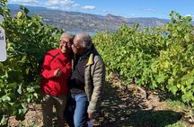 Naramata Full Day Lunch Wine Tour- Incl. Tasting Fees & Gratuity!