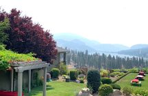 OK Falls Full Day Wine Tour & Lunch (Inc. Tasting Fees & Grat!)