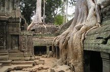 Personalised Angkor Wat Sunrise Tour by an air-conditioned car