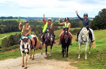 Matakana Art & Horse Riding Experience Private Tour From Auckland