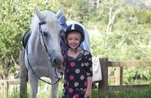 Matakana Art & Horse Riding Experience Private Tour From Auckland