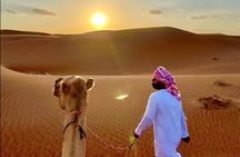 Full Day Private Desert Adventure