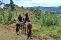 Horseback Riding & ATVs Private Tour in Medellin: Stunning Views 