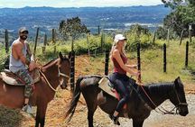 Horseback Riding & ATVs Private Tour in Medellin: Stunning Views 