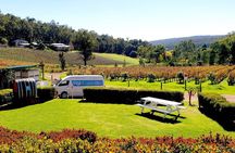 Bickley Valley Wine, Cider & Gin Tour - Premium Small Group Tour
