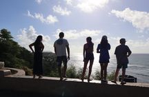 Island Tour with Snorkeling & Turtles