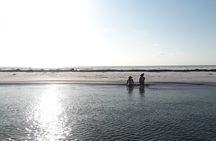 Florida's Beautiful Beaches and Waterways Private Tour