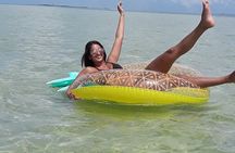 Florida's Beautiful Beaches and Waterways Private Tour