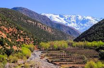 Atlas Mountains Tour from Marrakech