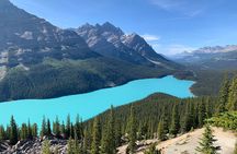 Lake Louise, Moraine Lake and the Icefields Parkway Full-Day Tour
