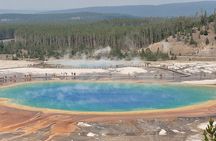 Guided Lower Loop of Yellowstone from Cody, WY