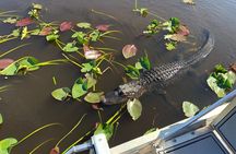 Everglades Airboat, Wildlife Experience and Photo