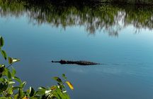 MIAMI: Everglades Airboat, Wildlife Gator Show and Photo 
