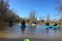 Kayak Tour Of The Honey Island Swamp and Backwaters