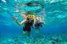 Key West Sunset Snorkel with Unlimited Draft Beer & Wine