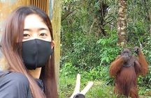 Orangutan Tour Tanjung Puting 3D2N