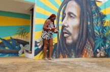 Secret Falls: Dunn's River Falls & Bob Marley Nine Miles Tour