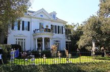 New Orleans Private City and Cemetery Tour - Up to 24 Passengers