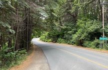 Circuito Chico Excursion in Bariloche (Short Circuit)