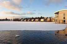 2-Hour Reykjavik Private Walking Tour