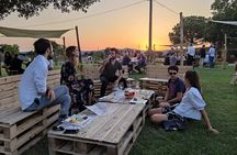Private Tasting of Organic Wines in the Cellar in Mugliano