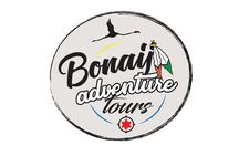 Bonaire Essentials Island Tour
